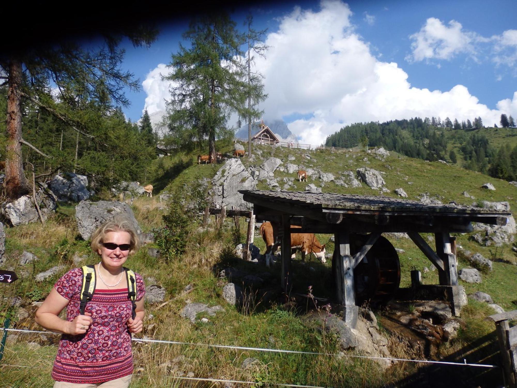 Bauernhofurlaub Sinnhubgut Altenmarkt im Pongau Bilik gambar