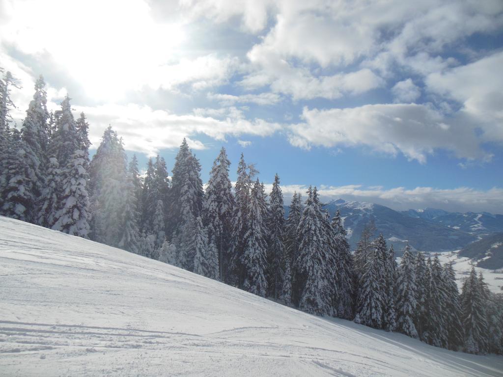 Bauernhofurlaub Sinnhubgut Altenmarkt im Pongau Luaran gambar