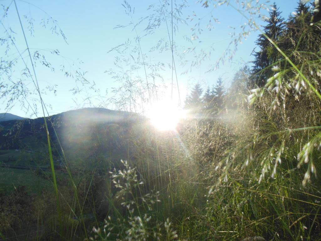 Bauernhofurlaub Sinnhubgut Altenmarkt im Pongau Luaran gambar